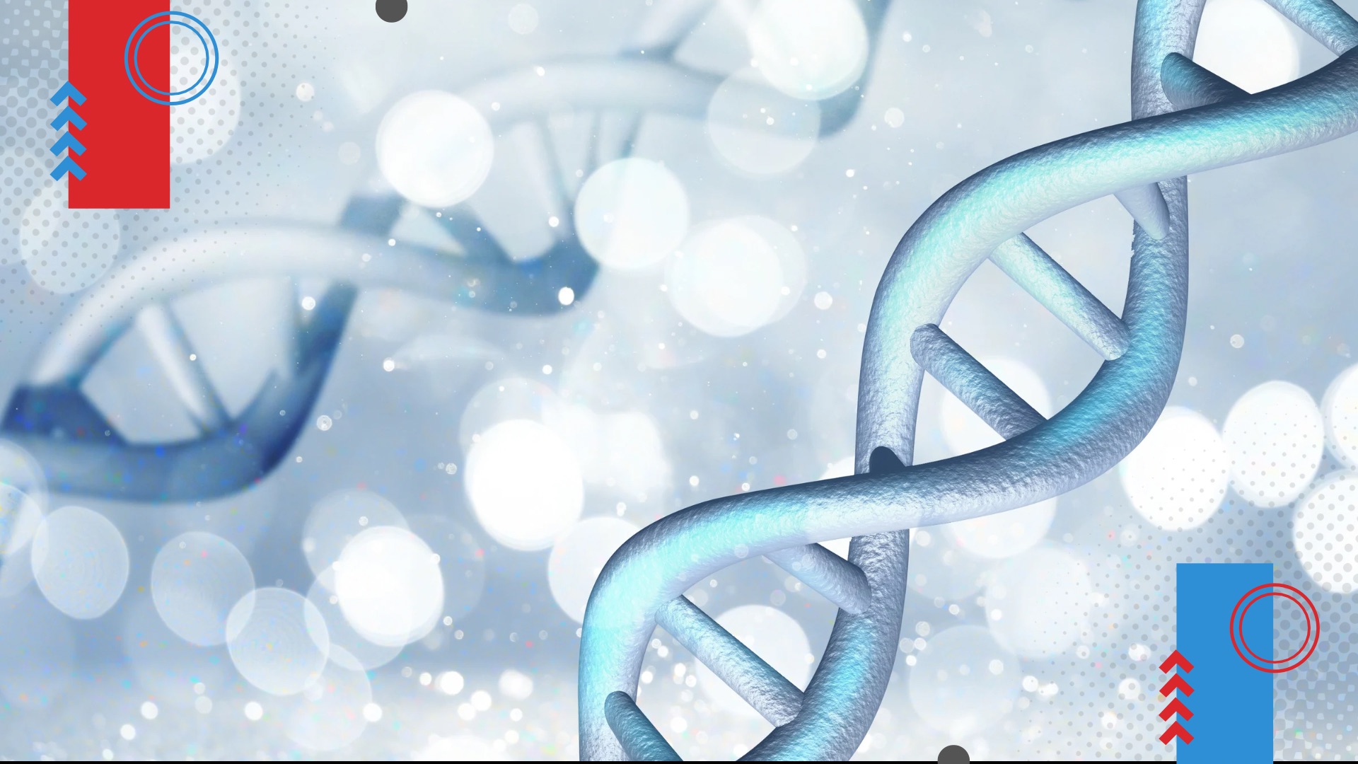 Seu check-up mostra o presente. Seu DNA pode mostrar predisposições.