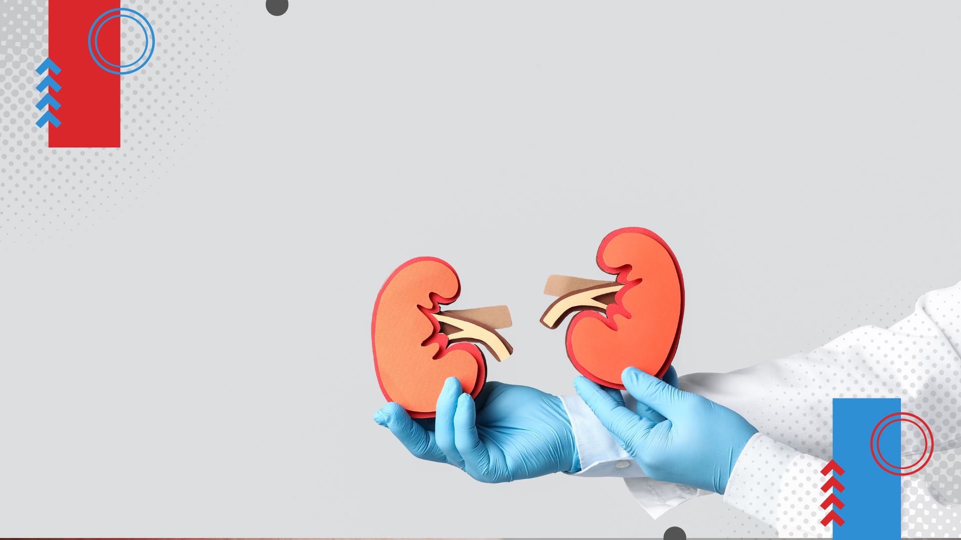 Creatinina e eTFG: como avaliar a função dos rins no check-up?